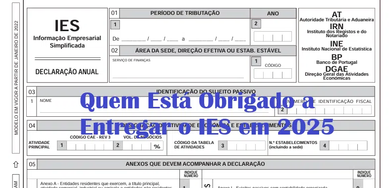Quem Está Obrigado a Entregar o IES em 2025