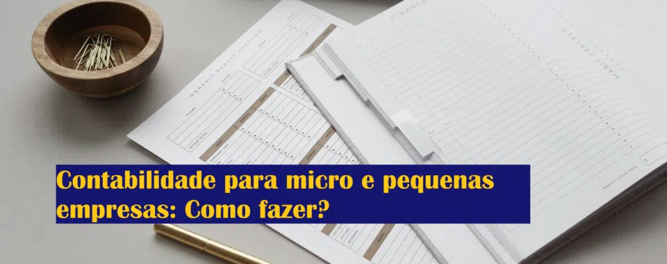 Contabilidade para micro e pequenas empresas: Como fazer?