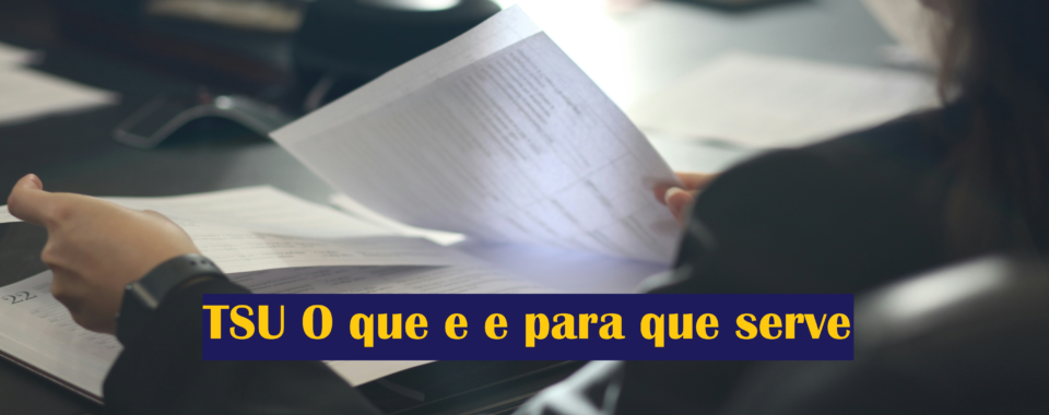 TSU O que e e para que serve