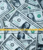 Empresário em nome individual pode deduzir IVA?