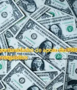 Novas oportunidades de apoio do PRR: prazos, valores e requisitos