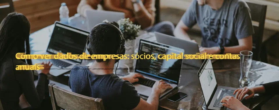 Como ver dados de empresas: sócios, capital social e contas anuais