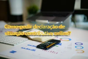 Como pedir declaração de situação contributiva online?