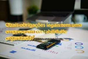 Quais obrigações legais tem uma empresa em contabilidade organizada?