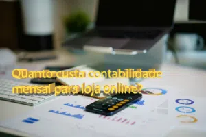 Quanto custa contabilidade mensal para loja online?