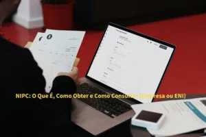 NIPC: O Que É, Como Obter e Como Consultar (Empresa ou ENI)